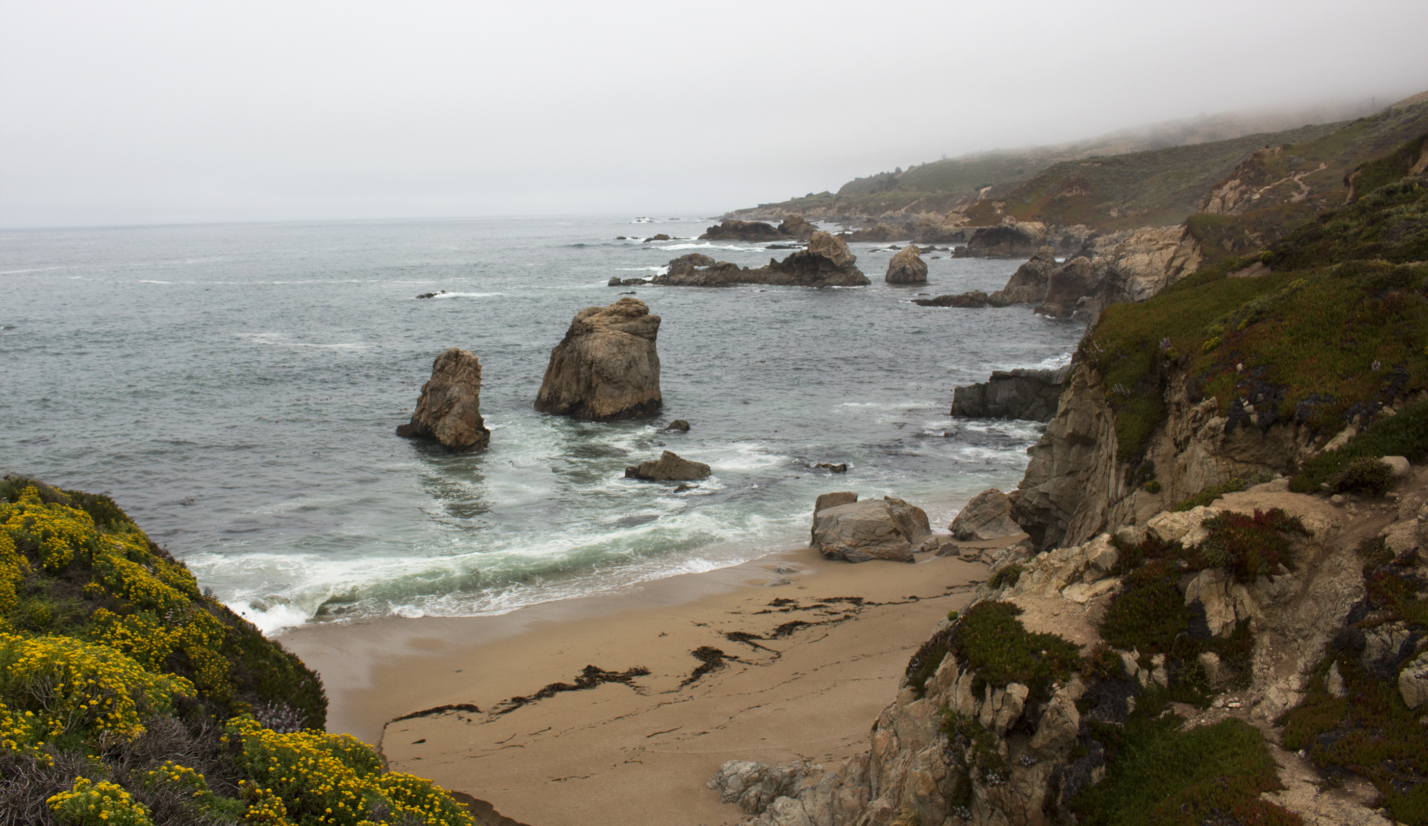 Guide to Exploring California's Coast: Garrapata