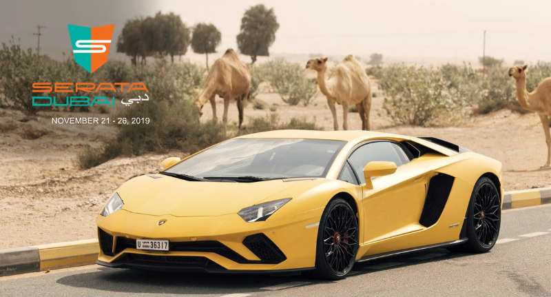 Aventador S With Camels Newsletter